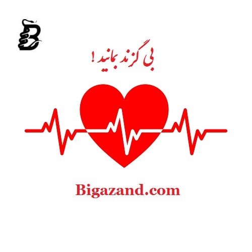ضربان قلب نرمال