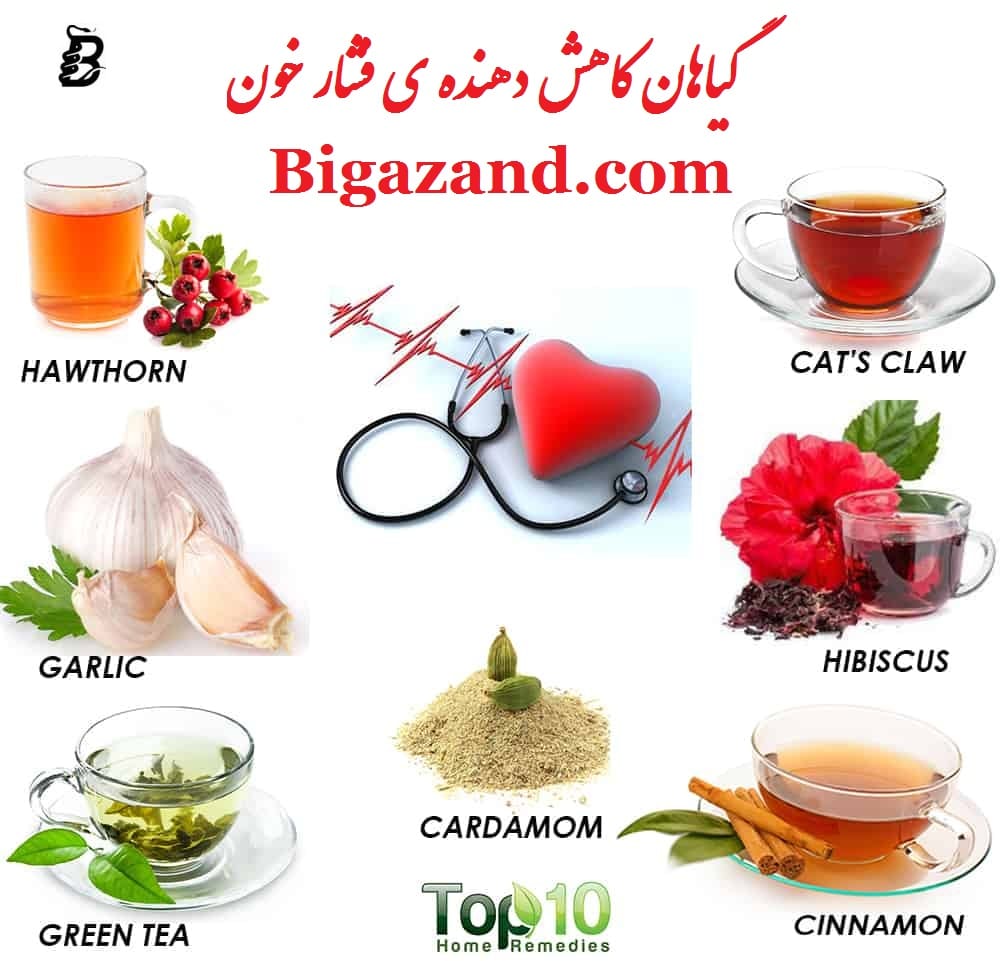 گیاهان کاهش دهنده ی فشار خون